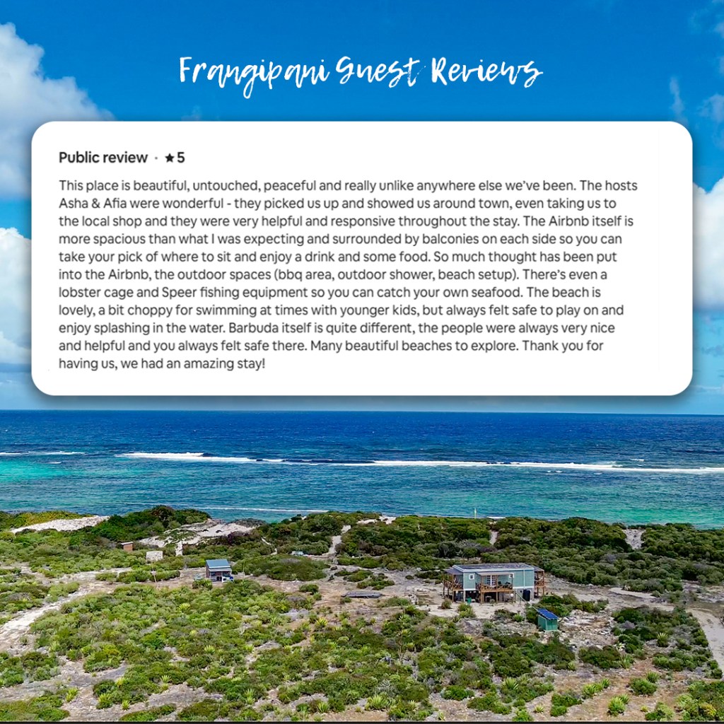 Reviews Frangipani2