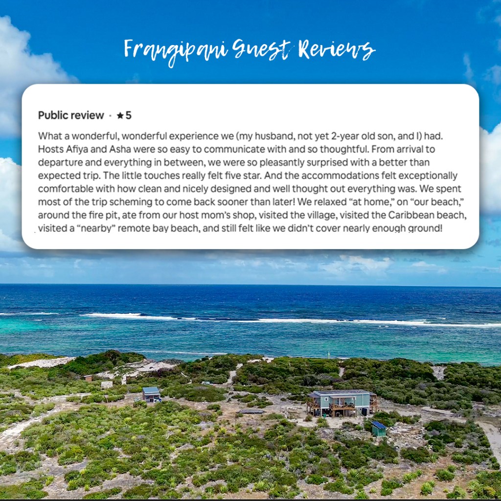 Reviews Frangipani4