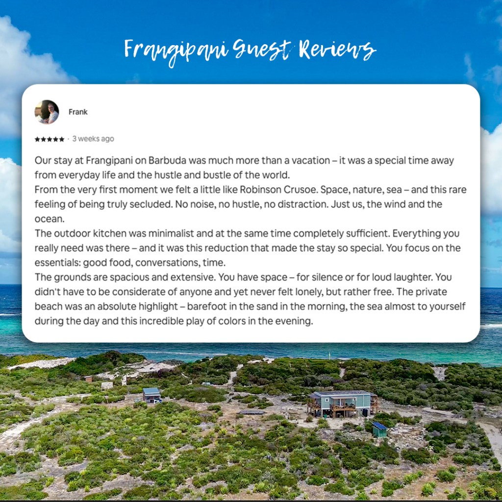 Reviews Frangipani6